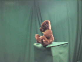 135 Degrees _ Picture 9 _ Small Dark Brown Teddy Bear.png